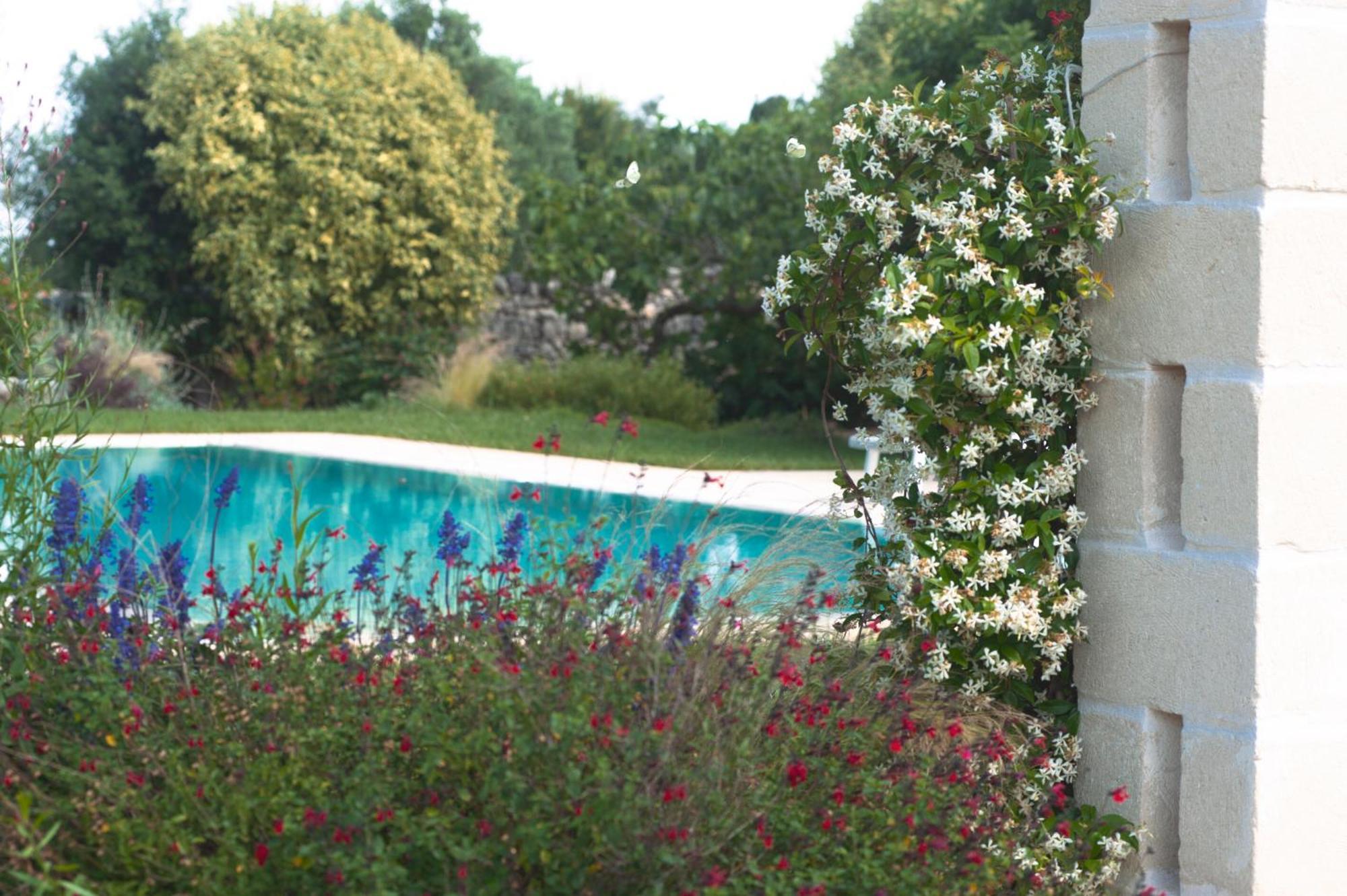 Agriturismo Masseria Calongo Cisternino Exterior photo