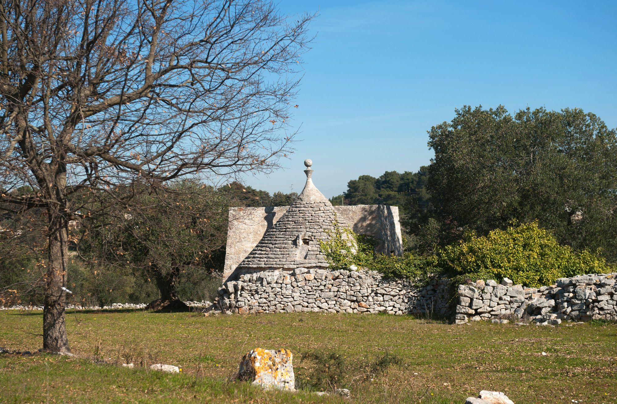 Agriturismo Masseria Calongo Cisternino Exterior photo